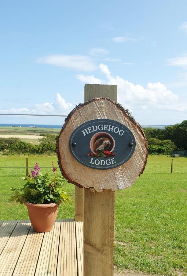 Lilly'S Lodges Orkney Hedgehog Lodge Finstown Kültér fotó