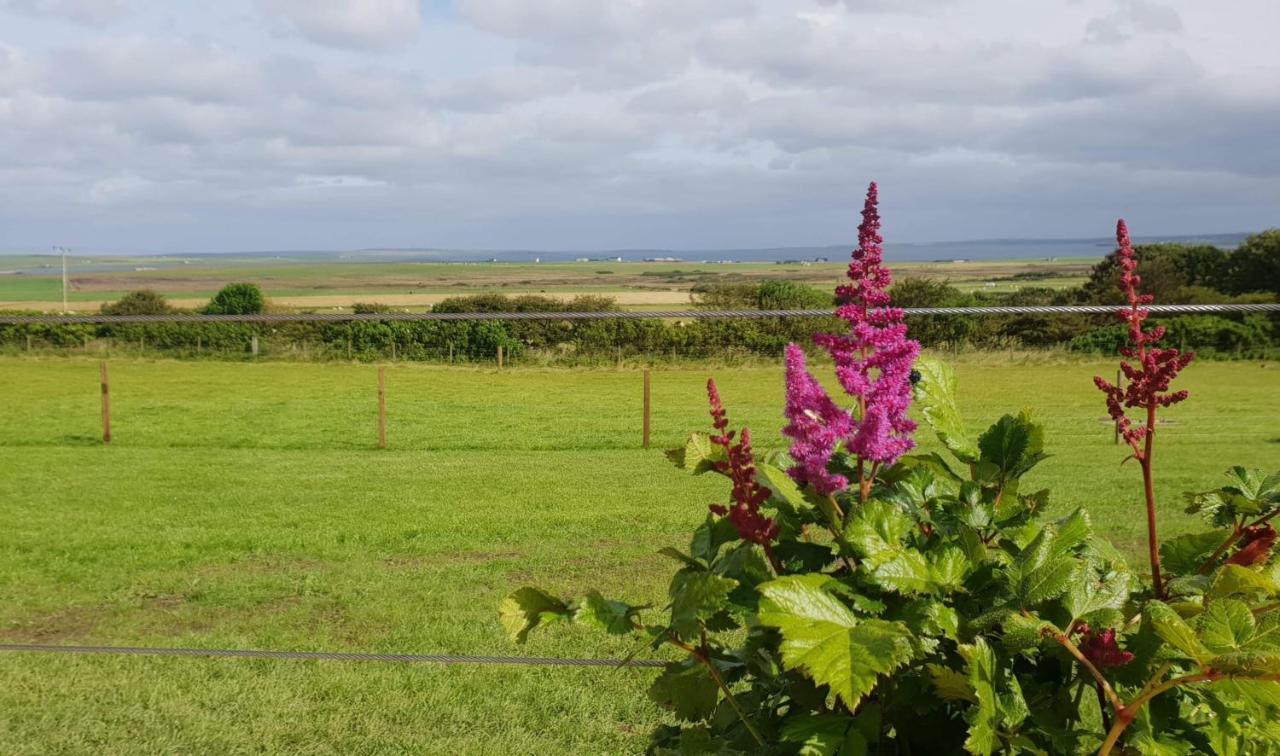 Lilly'S Lodges Orkney Hedgehog Lodge Finstown Kültér fotó