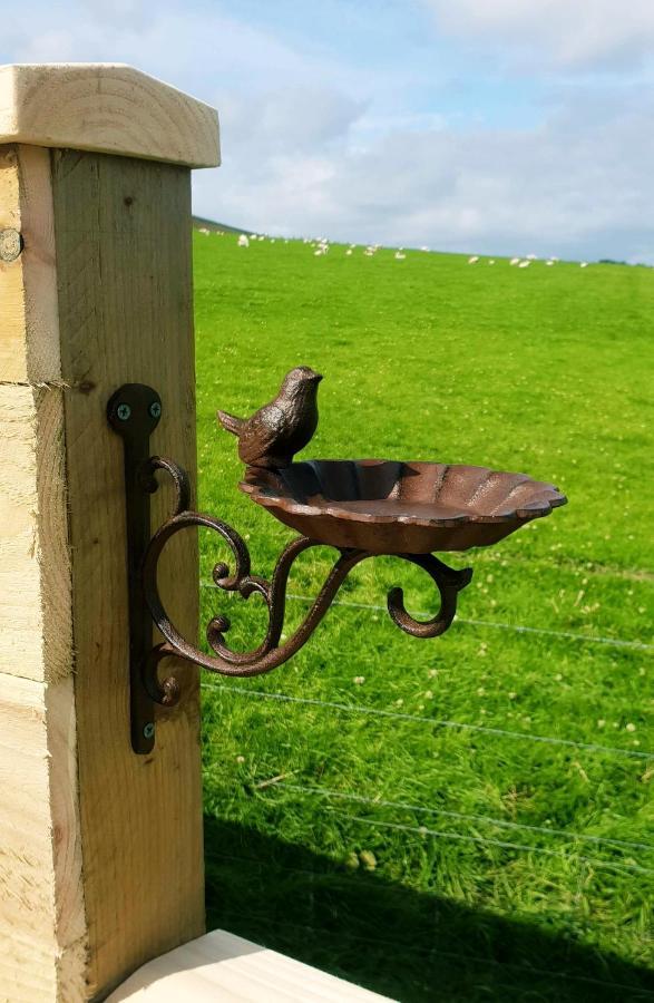 Lilly'S Lodges Orkney Hedgehog Lodge Finstown Kültér fotó