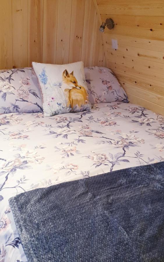 Lilly'S Lodges Orkney Hedgehog Lodge Finstown Kültér fotó